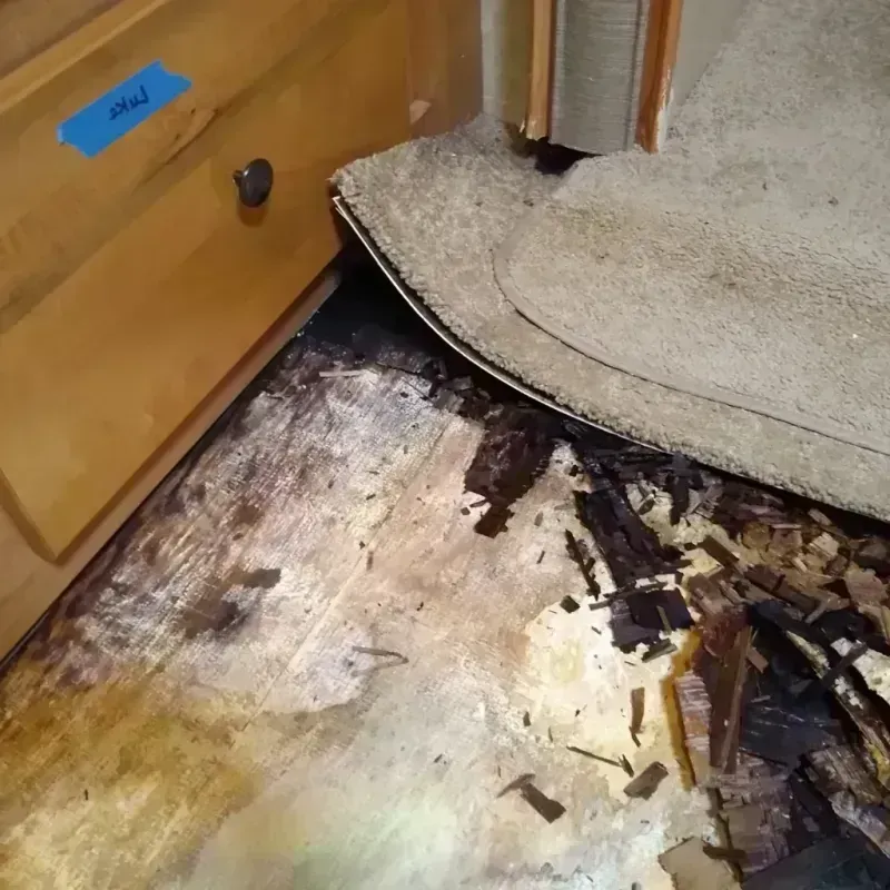 Wood Floor Water Damage in Reno, OH